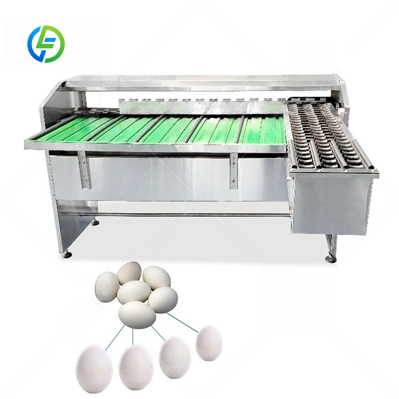 FL Customized Weigh‑type Egg Sorting Machine Automatic Egg Grading Machine Egg Weight Separator for Layer Farm Poultry Equipment