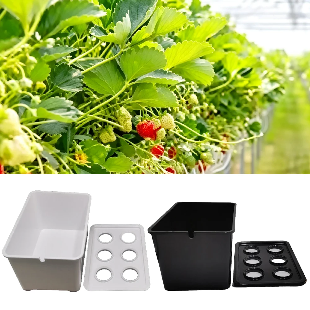 Nursery Pots Hydroponic System Growing Box Universal Planting Container for Propagation Plants Vegetable boxes Wholesales