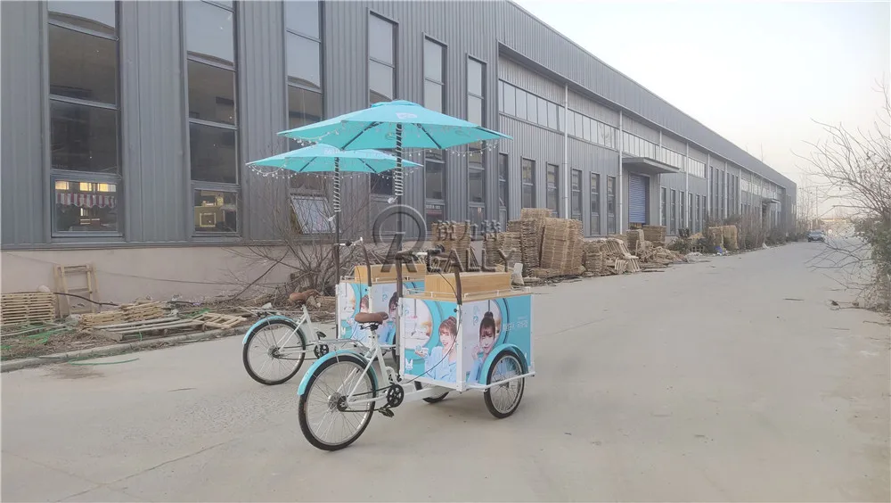 Outdoor Ice Cream Bike With Freezer Mobile Fast 3 Wheel Electric Tricycle Ice Lolly Popsicle Food Vending Cart