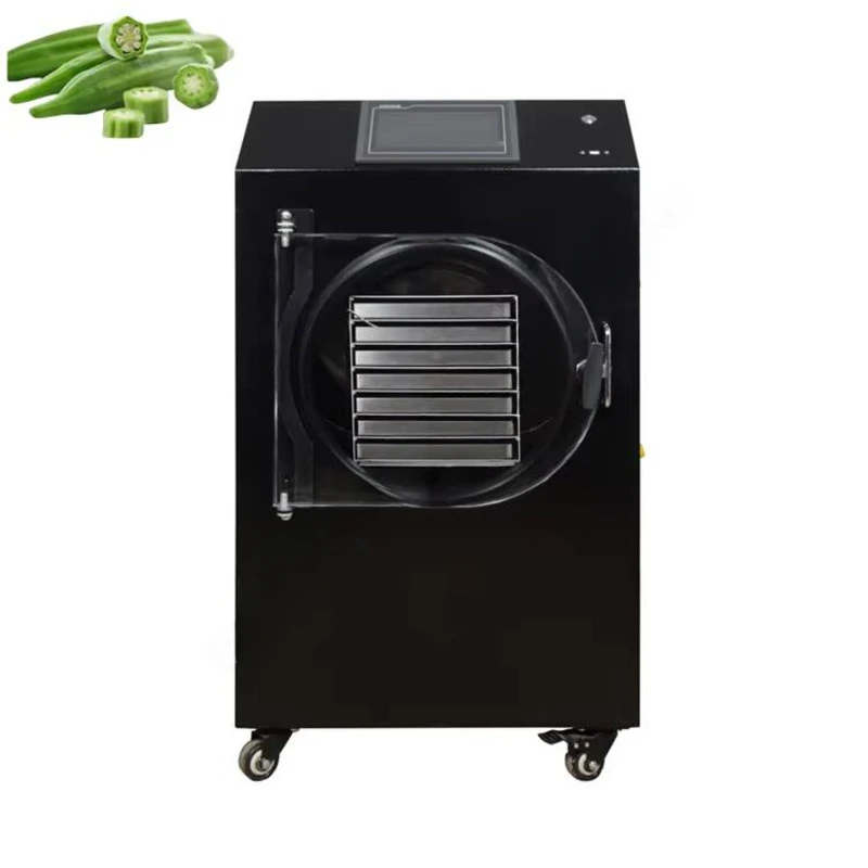 2-3 kg Hfd-1 Liofilizzatore per caffè Multi collettore Liofilizzatore sottovuoto Liofilizzatore da laboratorio Controllo interruttore indipendente