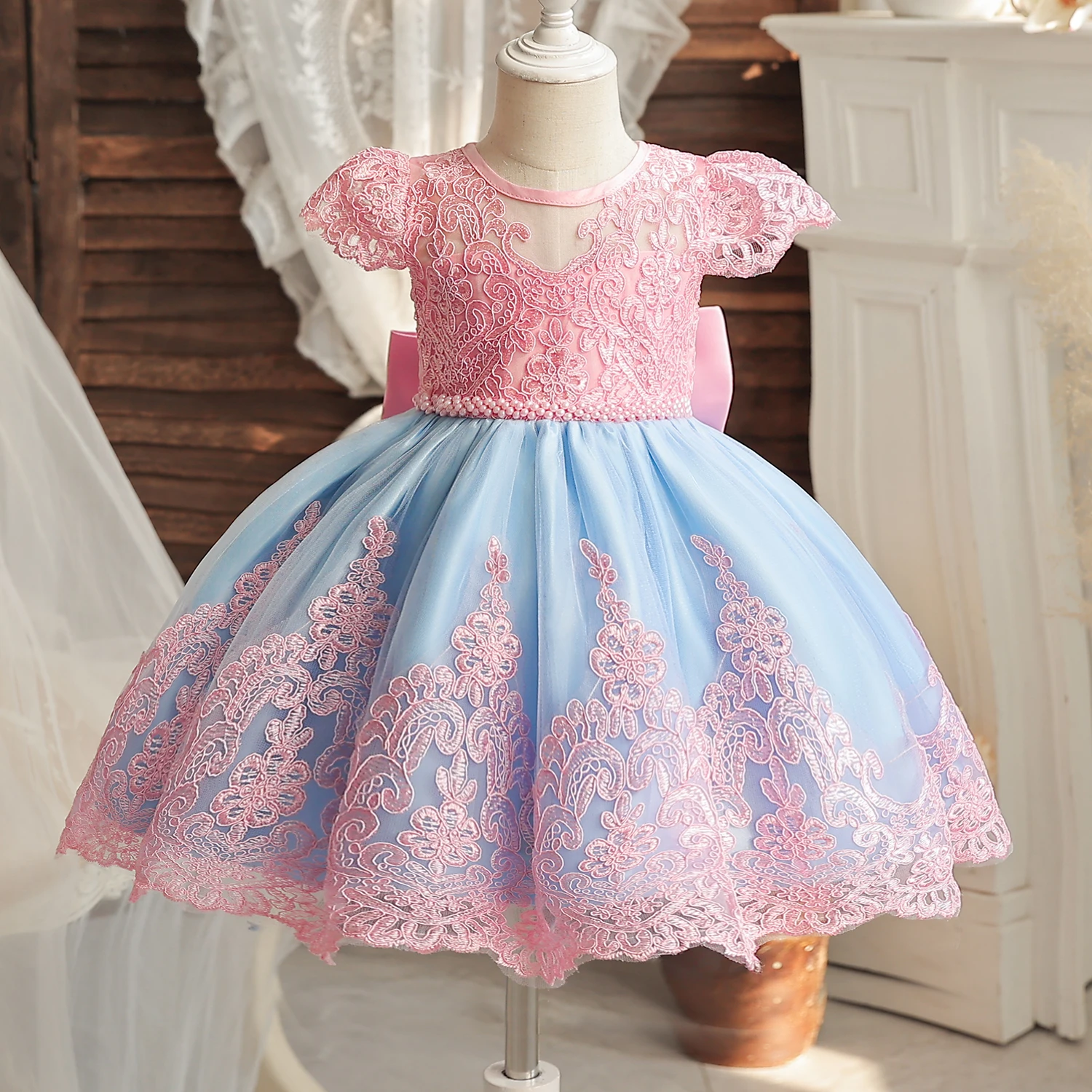 Toddler Baby Girls Lace Dresses Backless Wedding Ball Gowns Embroidery Elegant Ceremony Costumes Birthday Party Princess Dress