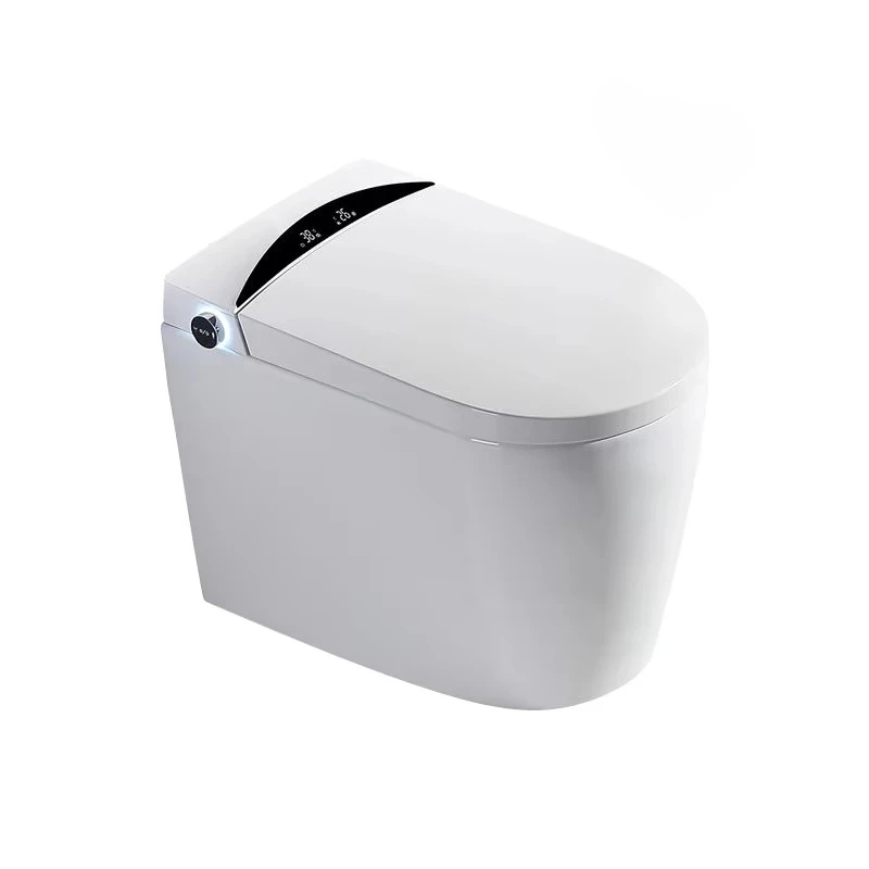 Australia Commercial WaterMark One Piece Toilet Intelligent Electric Bidet Smart Wall Hung Automatic Toilet