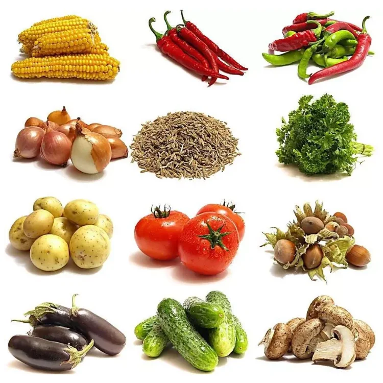 Dispositivo Limpiador de Hierbas, Limpiador de Frutas, Lavadora Ultrasónica de Verduras, Aloe Vera, Máquina de Lavado de Hojas de Algas con Burbujas