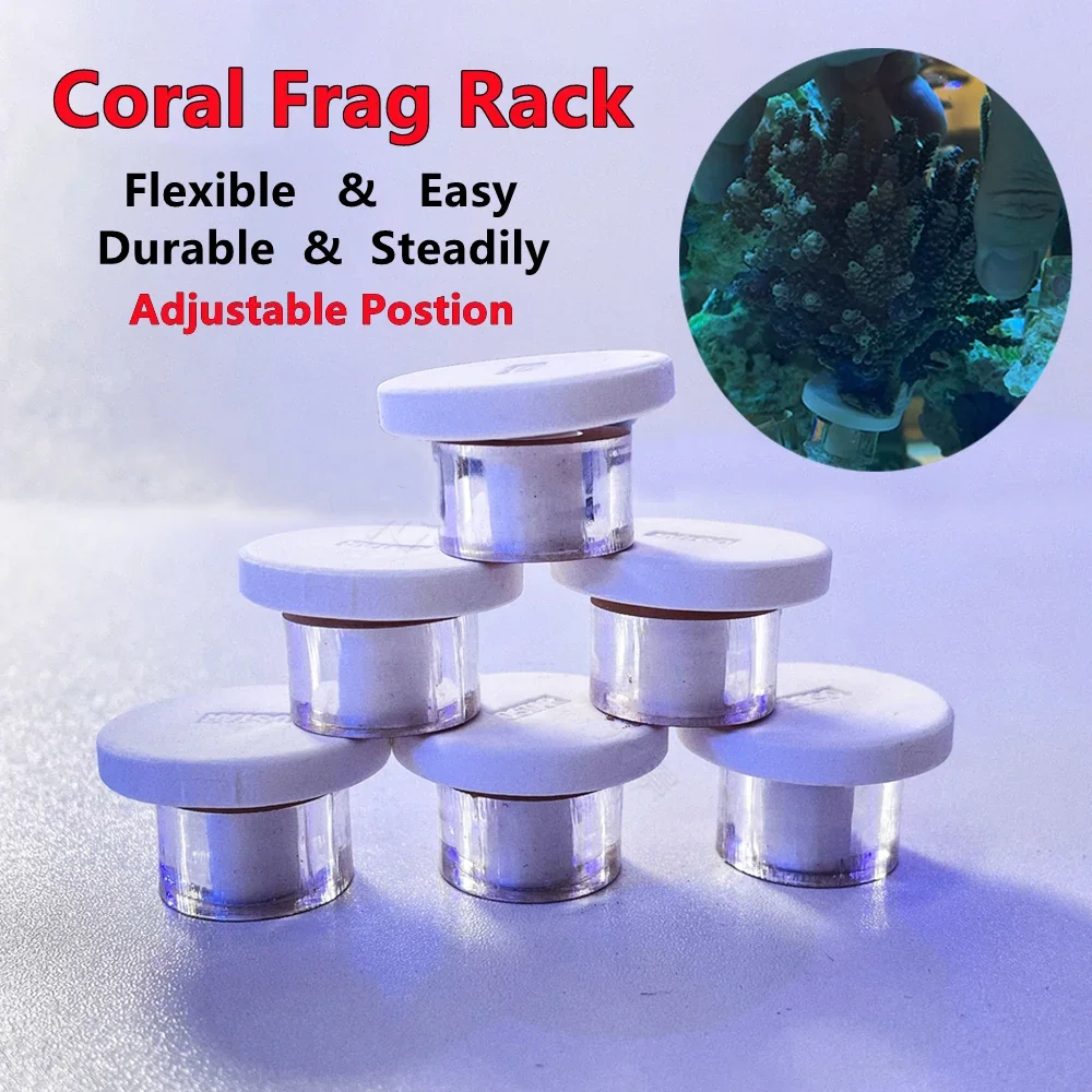 6pcs a Lot Coral Frag Rack Easy Adjustable Cultivation Live SPS Brackets Holder Marine Reef Fish Aquarium Spare Parts Plug Plate