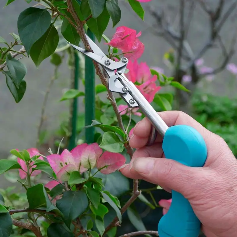 New Professional Garden Picking, Flower Pruning, And Pruning Stainless Steel Sharp Scissors