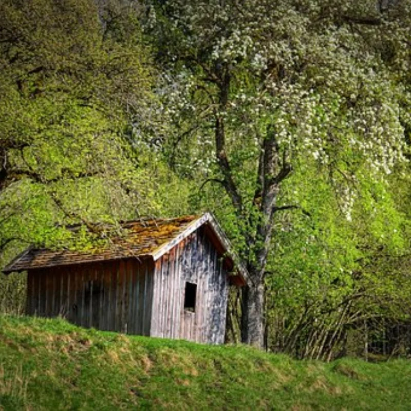 

1/10 RC Гусеничный автомобиль Запасная часть 1,9-дюймовый металлический обод ступицы колеса с бисером TRX4 Axial SCX10 AXI03006 Gladiator Ruitai GRT 86181