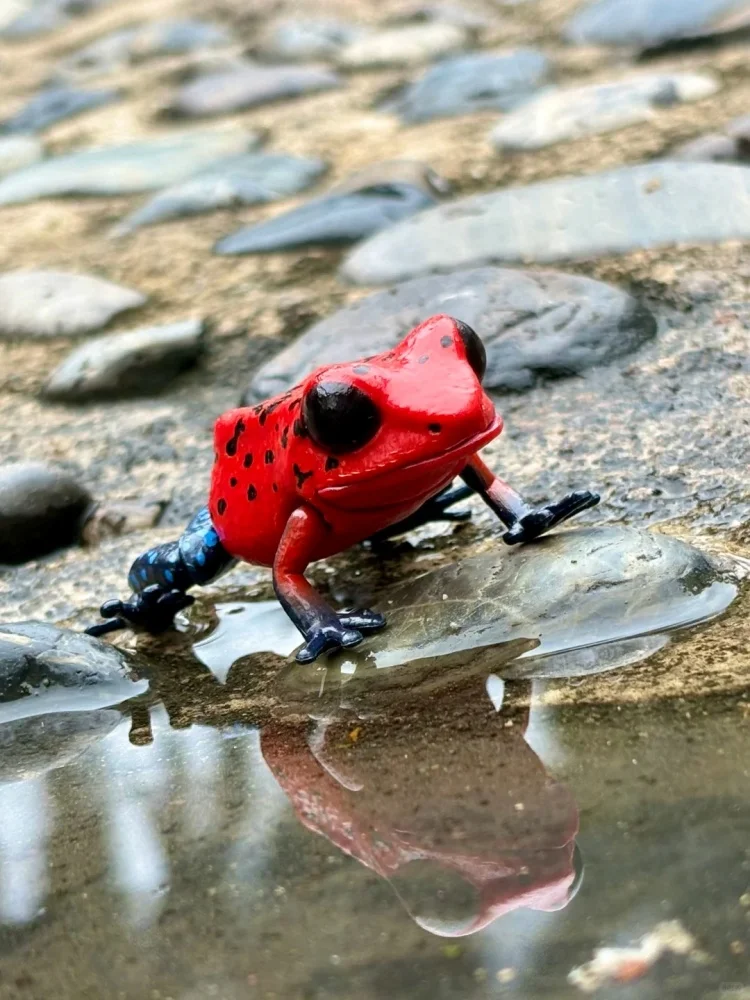 

New In Stock Bandai Ikimono Daizukan Red Dart Strawberry Realistic Animal Figure Pvc Model Desk Decor Collectible Toy Gift