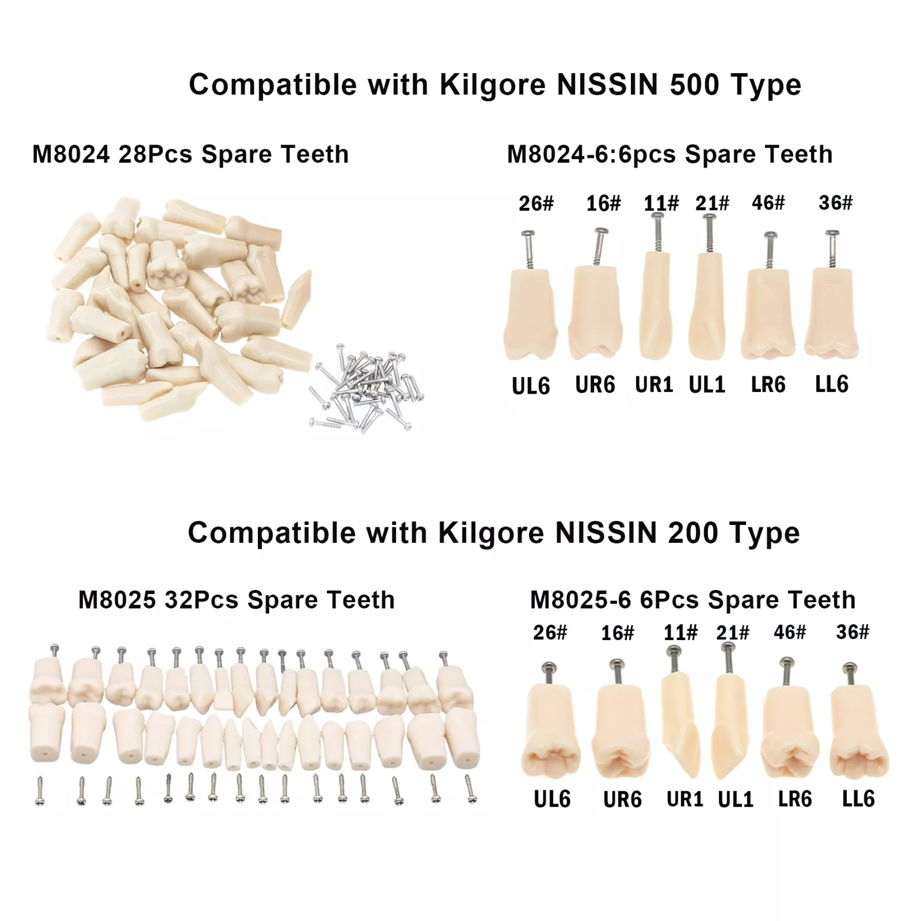 

Dental Replacement Screw-in Teeth Typodont Model fit Compatible Kilgore NISSIN 200/500 Type