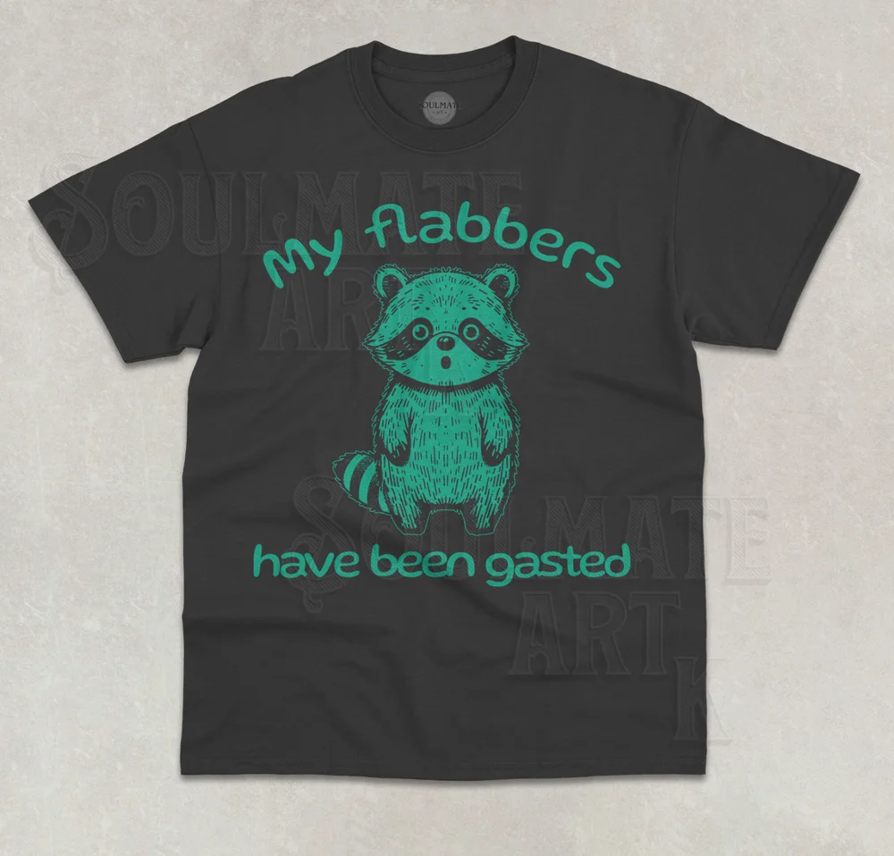 Camiseta My Flabbers Have Been Gasted, divertida camiseta gráfica unisex con mapache Meme