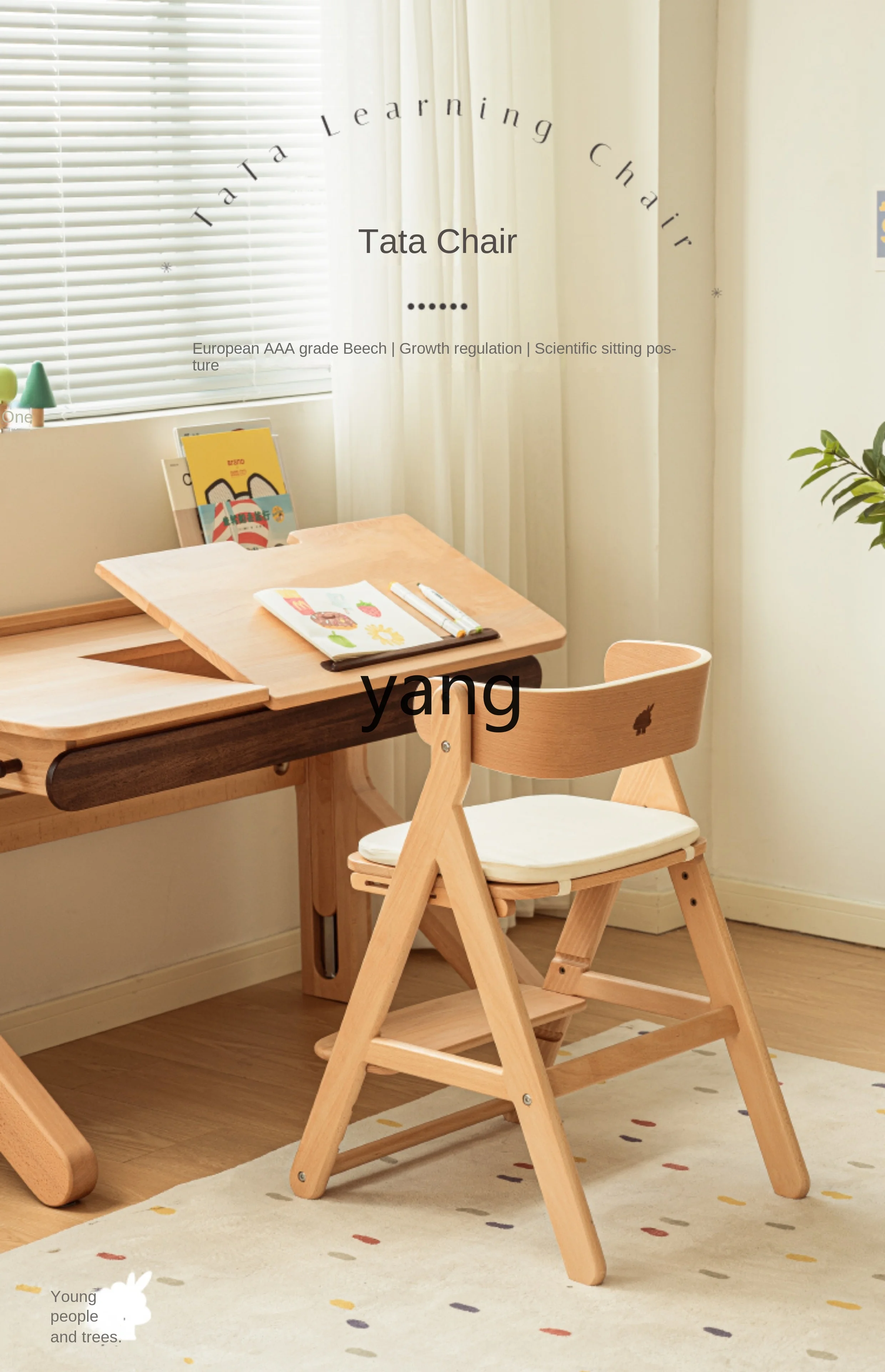 CX Baby Dining Chair Writing Solid Wood Children Learning Eating Backrest Growth Chair