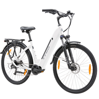 TTGO ZZ-28ST City Electric Bike Electric Bicycle for Adult 36V 20 Ah Battery,250 W Motor, 9 Speed 25 km/h 100-130 km E-bike
