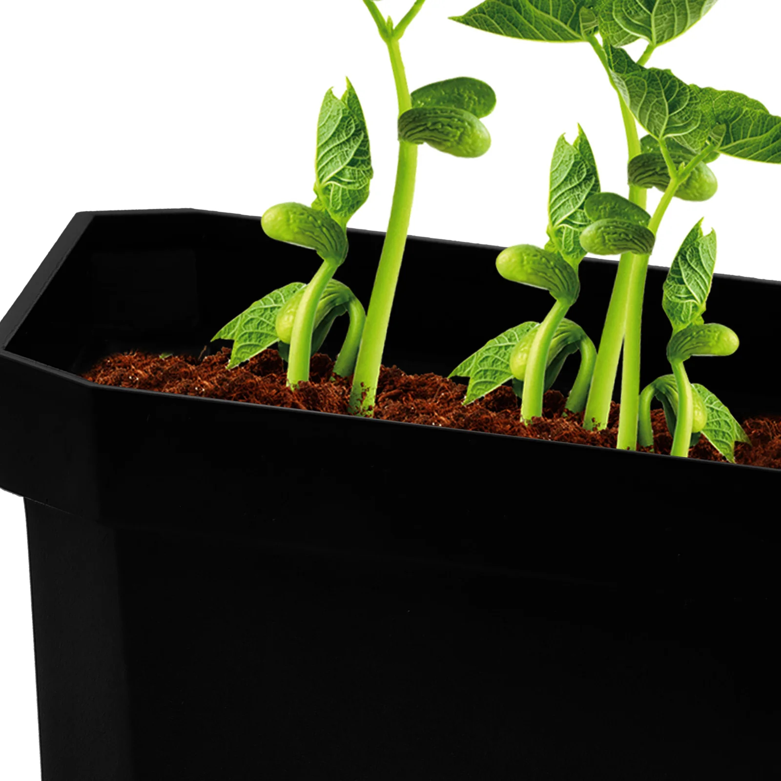 

Thickened Plastic Large Flower Pots 5 Sets Black Square Lid for Succulent Nursery Containers Gardening Pot Drainage Holes Bonsai
