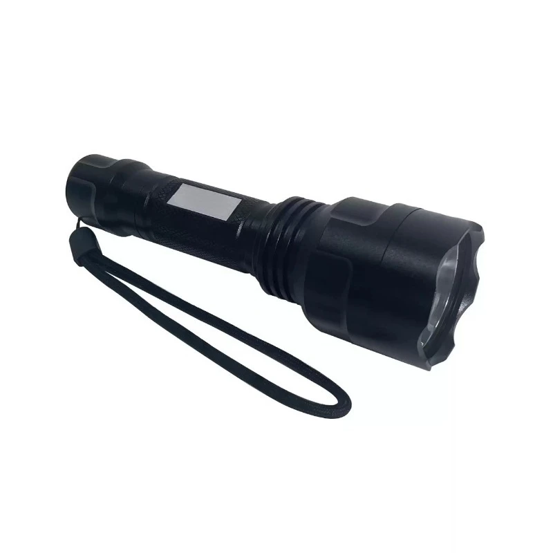 UV 254nm 253.7nm 250nm 260nm 1W3W5W Ore Detection Photocatalytic Flashlight