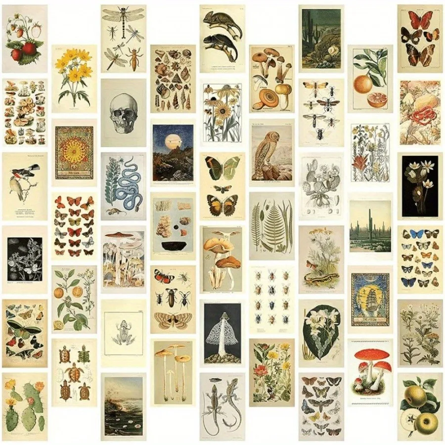 50 Pieces/set of Vintage Collection Card Set, Vintage Style Plant Butterfly Mushroom Natural Card, Used for Room Decoration