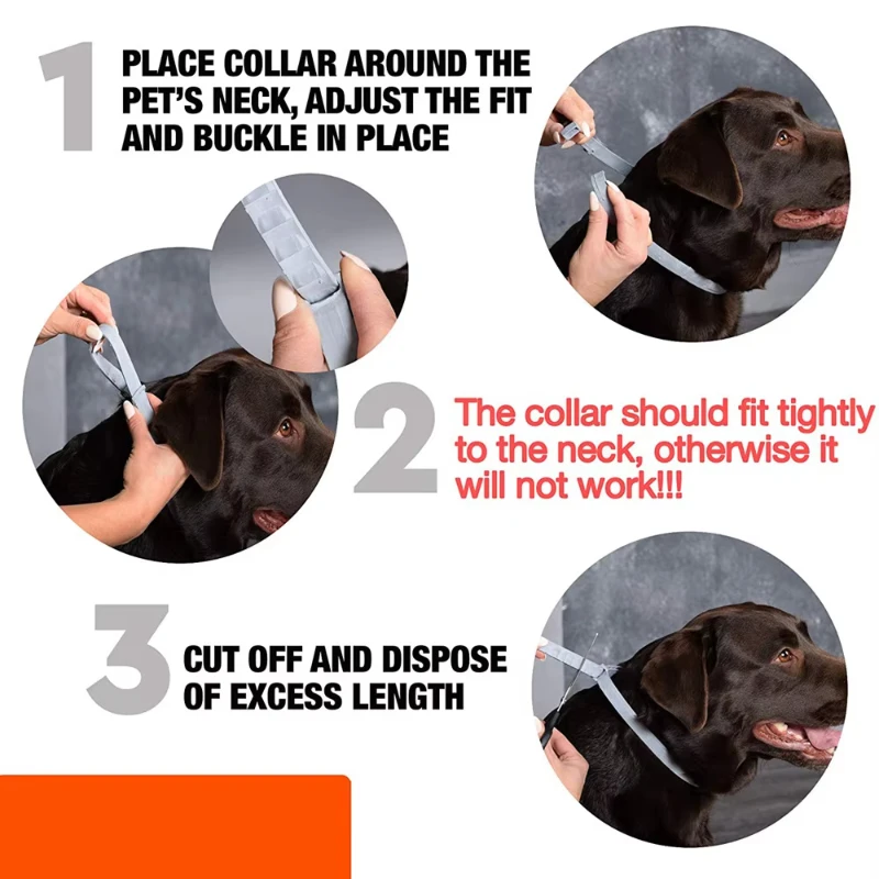 Flea And Tick Collar Silicone Adjustable Dogs Cats Collar 8 Month Protection Anti-mosquitoes Insect Repellent Pet Supplies Toys