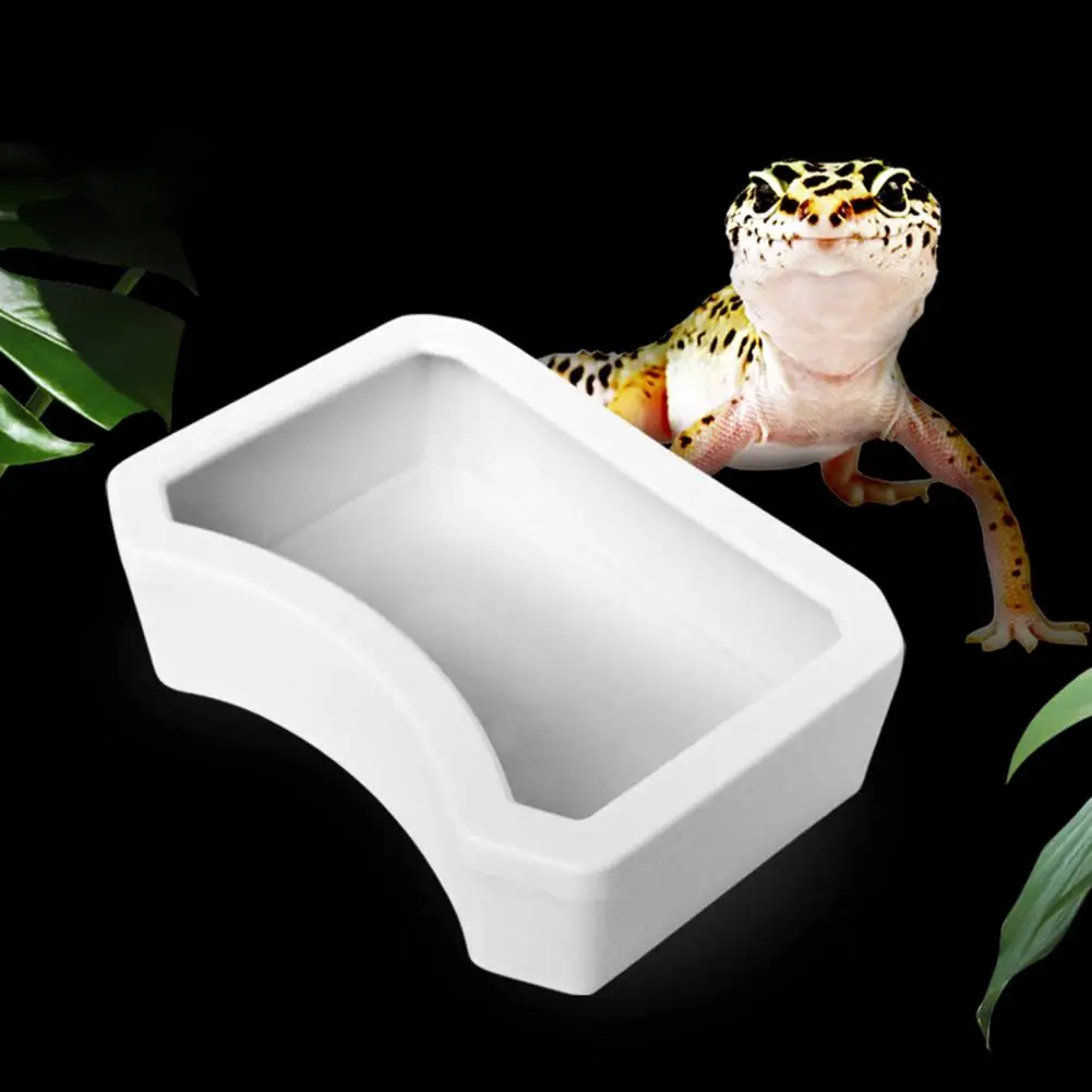 Water Bowl Harmless Pet Water Box Pet Food Water Feeder Set Plastic Resin Rock Bowls for Terrariums Aquarium Ornament Dish