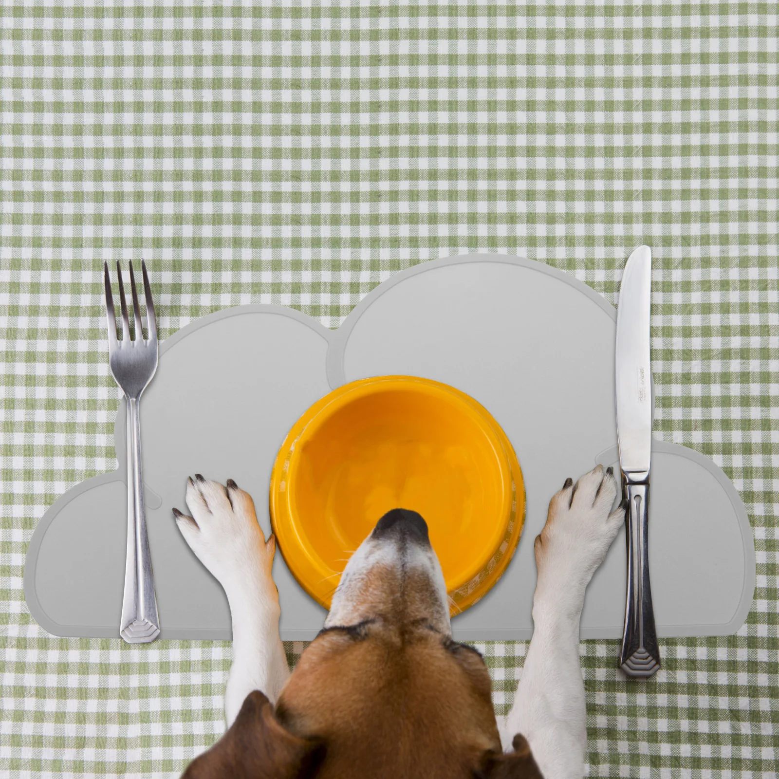 

Pet Placemat Feeding Dog Bowl Food Dish along with Cat Eats Pad Washable Silica Gel Non-slip Back