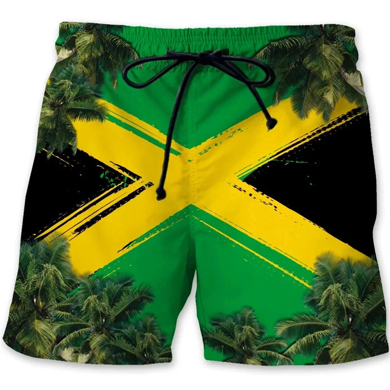 Jamaica lew narodowe graficzne męskie spodenki plażowe z nadrukiem 3D z flagą jamajki strój kąpielowy homme lato Hawaii kąpielówki fajne lodowe