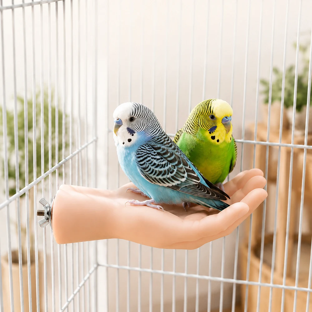 Perchoir d'apprentissage pour oiseaux en forme de main, perchoir d'entraînement pour perroquets, perchoir à fixer sur cage, jouet interactif pour perroquets, plateforme de repos pour oiseaux