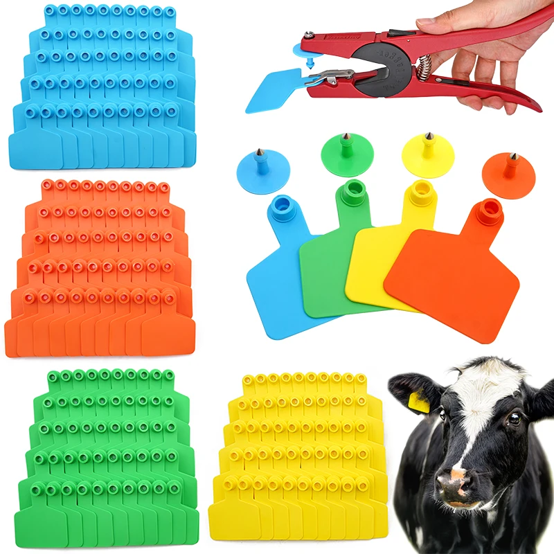 100 Pcs Cow Ear Tags Without Numbers Livestock Ear Tag Pliers Animal Earings Plastic Ear Label for Goats Sheep Cattle Cows