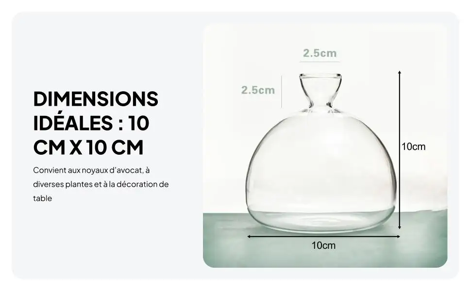 Avocado Seed Starter Vase Avocado Tree Growing Vase Kit ,Hydroponics Transparent Glass Vase for Planter Gift,Mom Best Friend