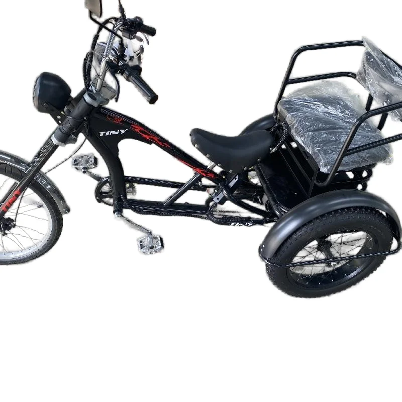 

Three Wheel Electric Tricycle With Passenger Seat For Senior 48v 350w Ebikes Electric Bicycle For Adult Trike Removable Battery