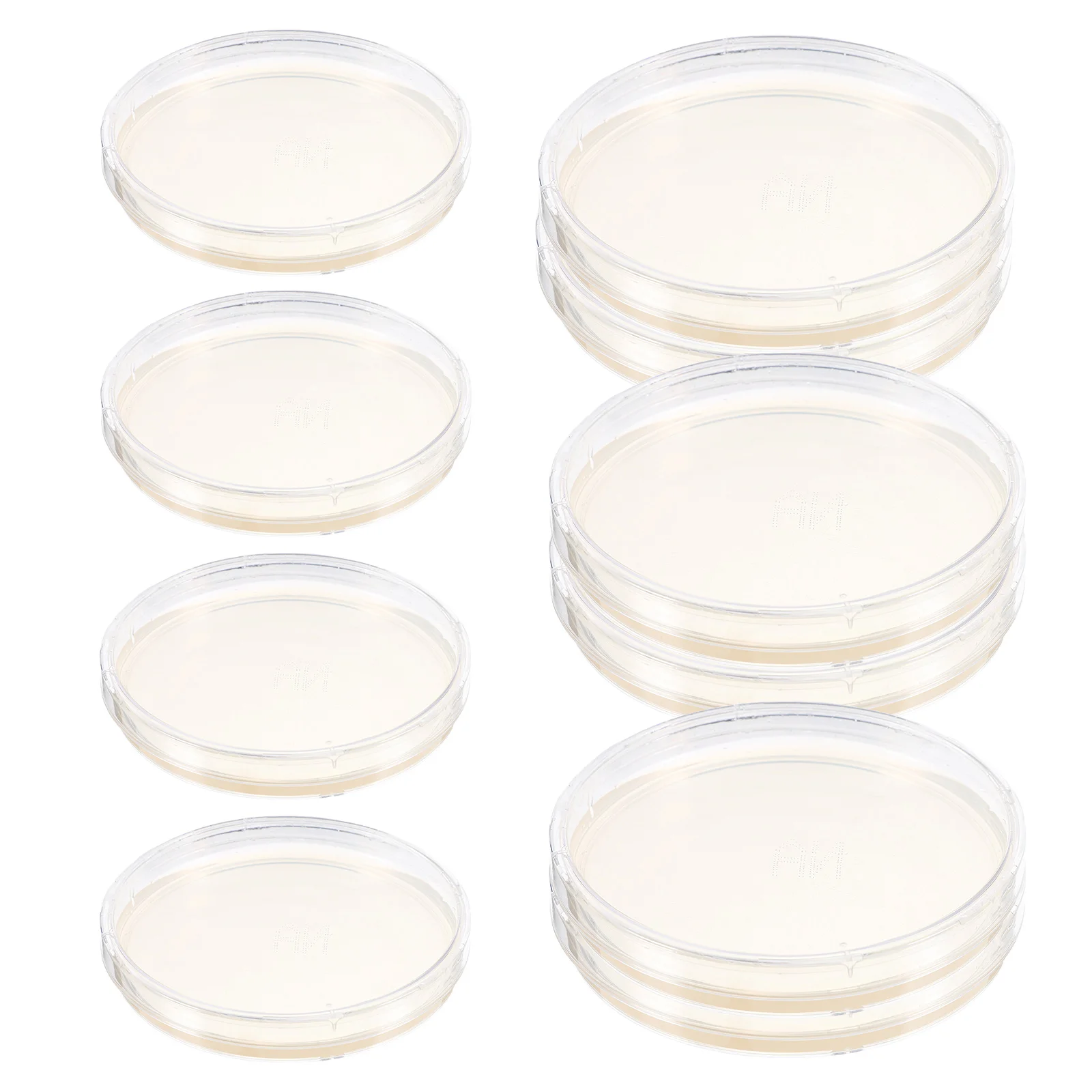 

10 Pcs Agar Plate Tapioca Starch Plates Prepoured Petri Dish Dishes Science Projects Tool Experiment Supplies Portable Ordinary