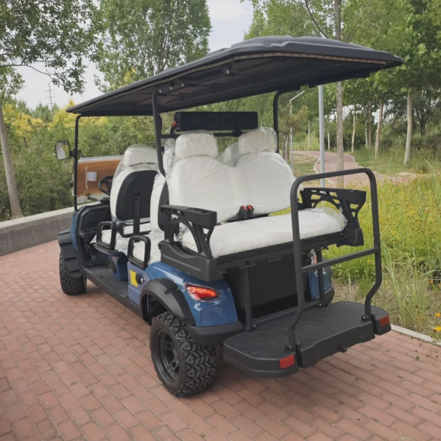 

2025 New Standard Tested Electric Car Street Legal Lithium Battery Powered Electric Golf Cart Side Mirror With Turning Light