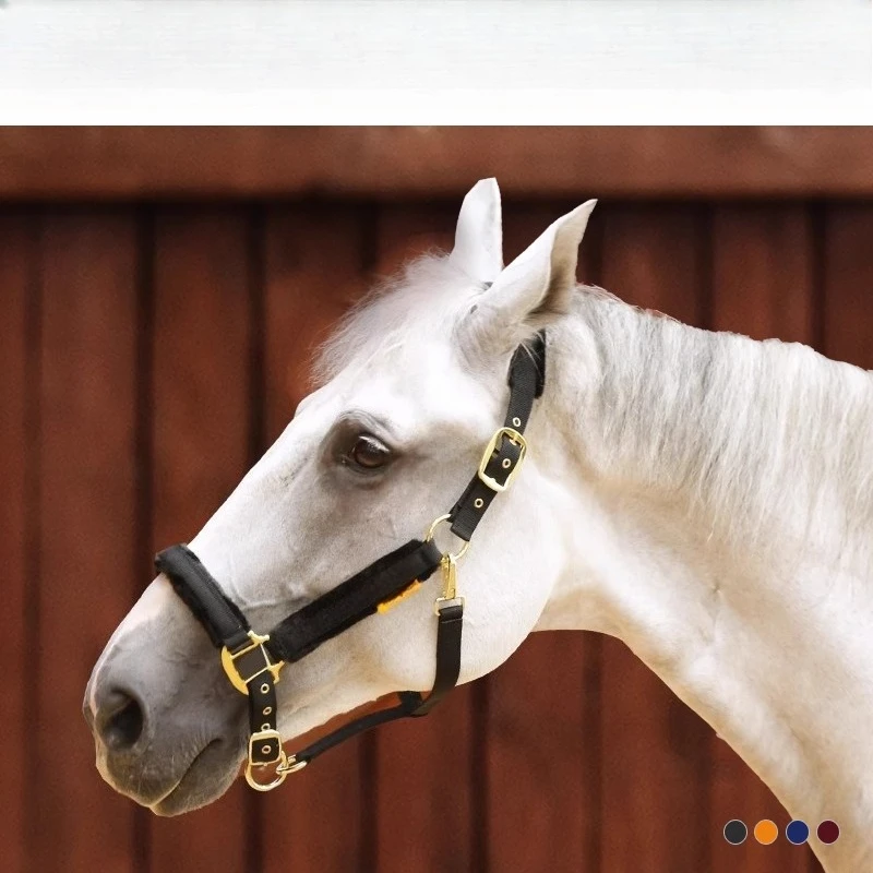

Protective bridle imitation wool bridle, equestrian riding supplies and equipment