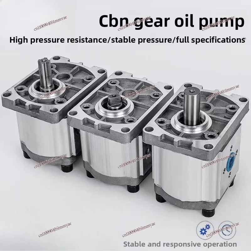 مضخة زيت التروس CBN-F304 CBN-F306 CBN-F308 CBN-F310 CBN-F314 رأس المضخة الهيدروليكية