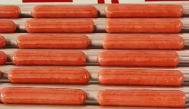 9 Roll Electric Hot Dog Snack Equipment/Hotdog Grill Roller Machine/ Sausage Roasting Machine HJ-RG9