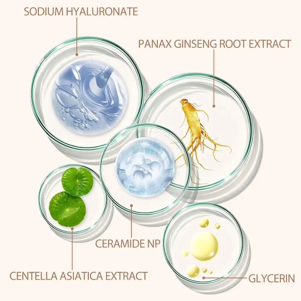 Fond de teint liquide léger, couverture intégrée, finition naturelle, couverture rayonnante, fond de teint hydratant longue durée sans cruauté