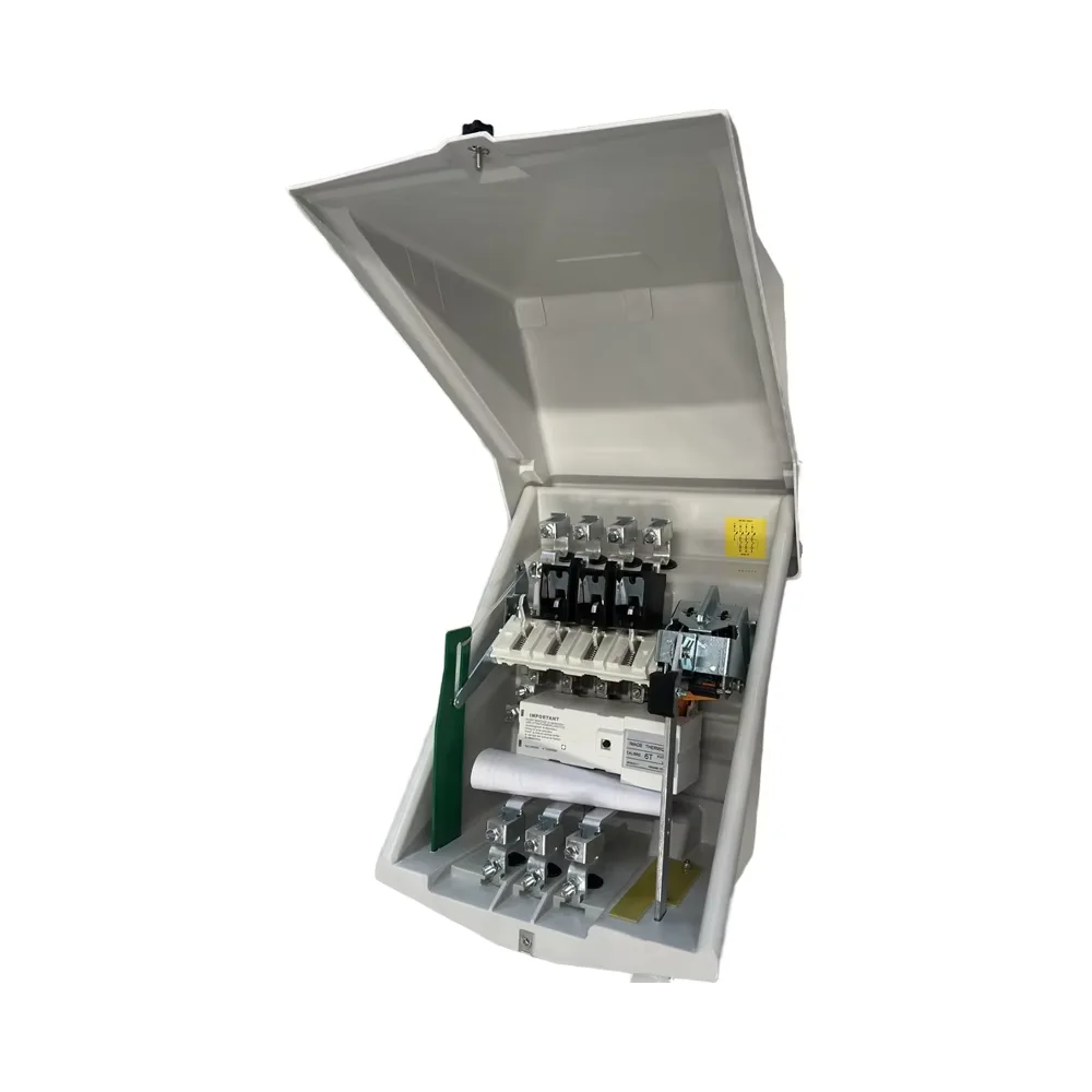 

OEM Service Outdoor Pole Mounted Circuit Breaker BT D165T D265T Low Voltage Digital Trip Circuit Breaker