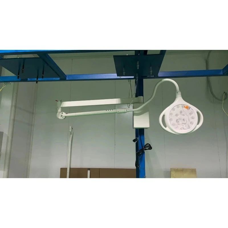 Veterinary Ceiling Mounted Mobile Standing LED Surgical Light Pet Clinic Examination Lamp