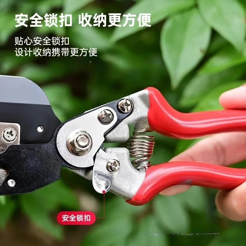 آلة تطعيم فرع بصري متعددة الوظائف، وبذور شجرة الفاكهة، وقطاعات الزرع، وأدوات التطعيم