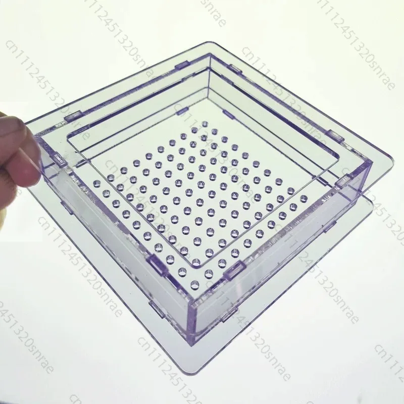 Caviar 100 Hole Generator Molecular Cooking Molecular Gourmet Tool Generator