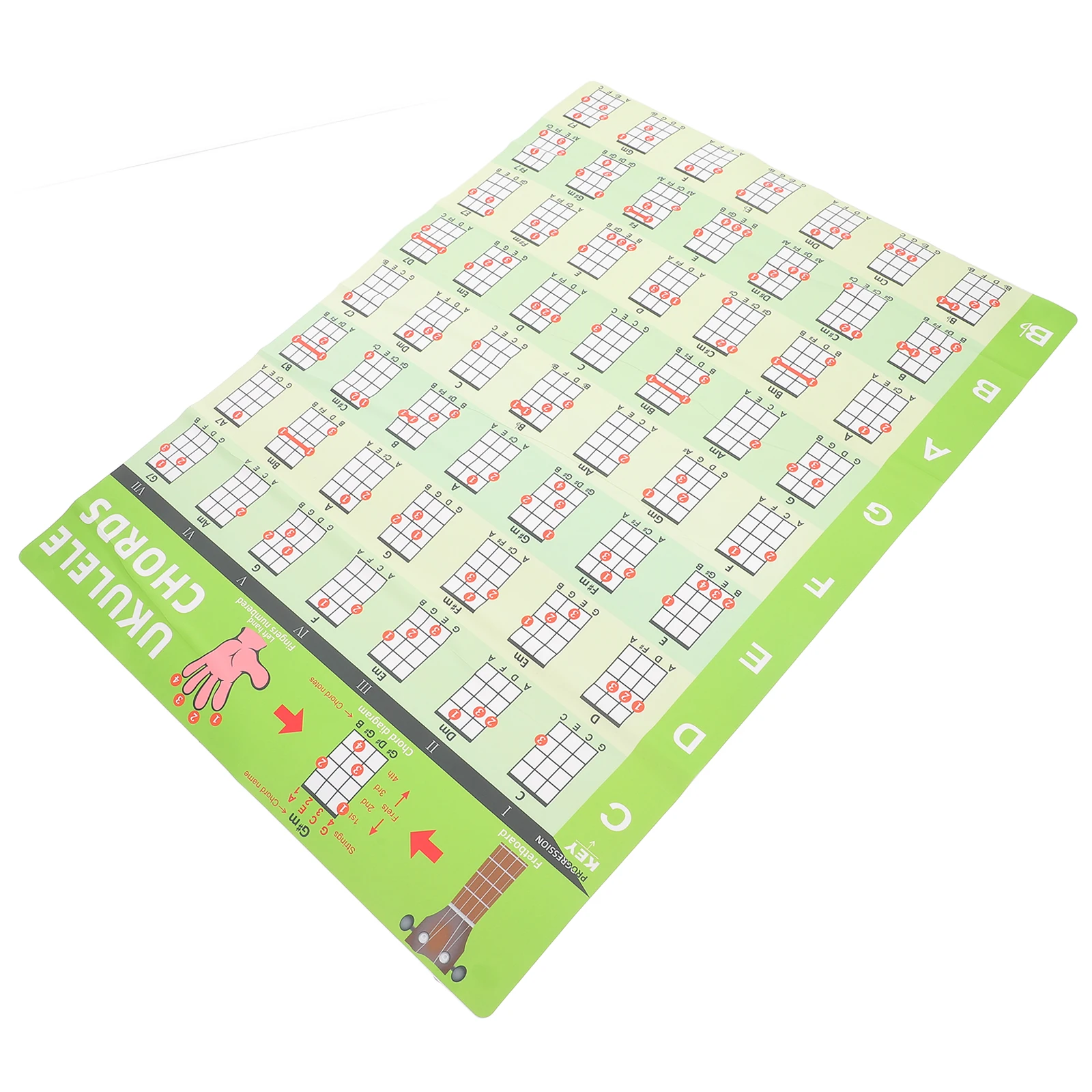 

Chord Table Stickers Ukelele Learning Poster Ukulele Aid Chords Trainer Accessories Chart s Small Wheel
