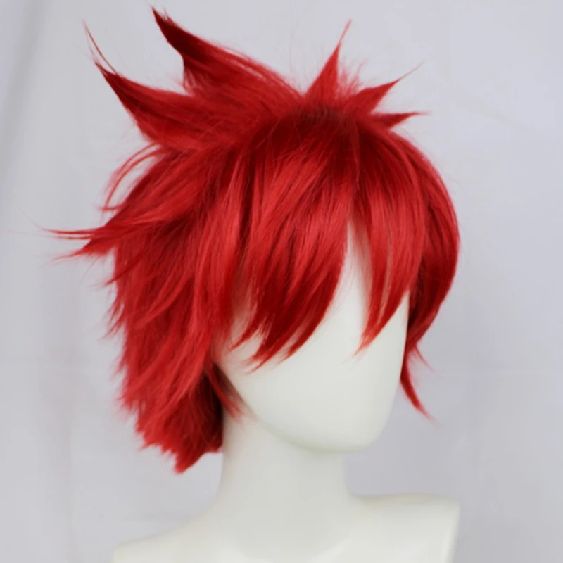 2D Anime Cosplay Wig, Character Role Play Hair Wig for Comic Con, Easy To Style