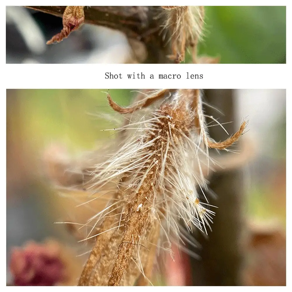 For DJI Osmo Pocket3 Macro Lens Shoot Small Object Flowers Insect 25-40mm Minimum Focusing Distance Magnetic Suction