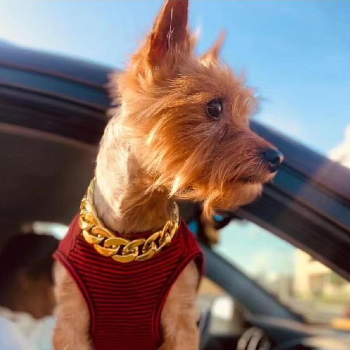 Pet Big Gold Chain Collar Adjustable Premium Dog Necklace & Cat Collar For High-End Aesthetic Richer Style Decorations Collar view 4