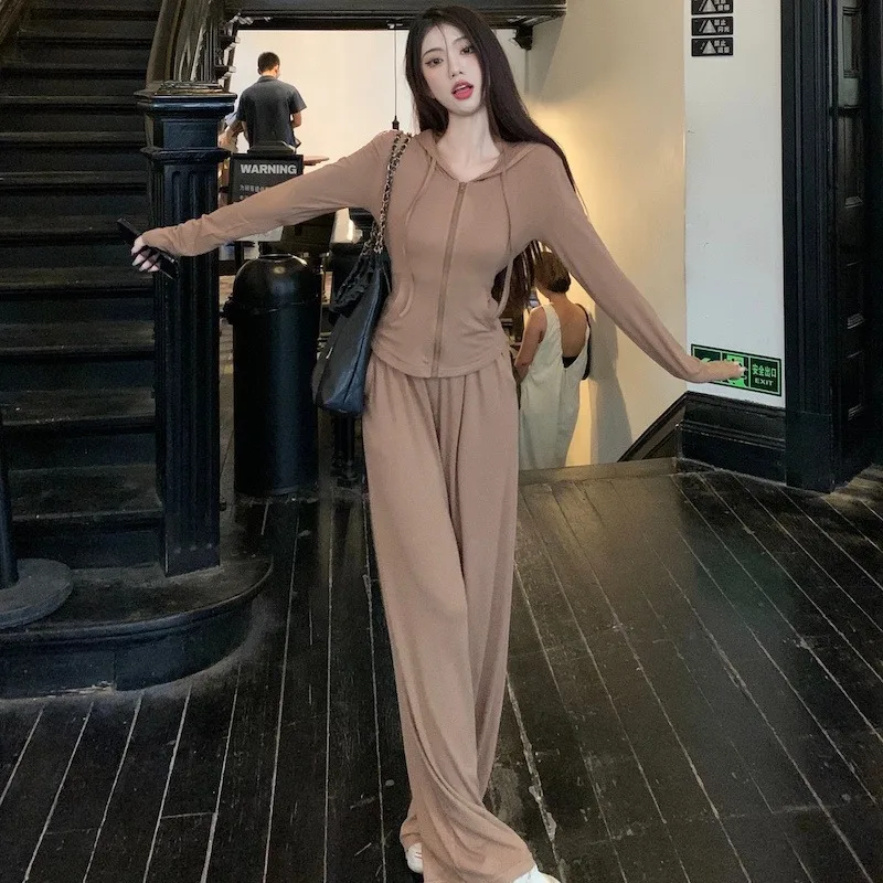 Spring Autumn Slimming Net Red Hooded Cardigan Top Coat Wide-leg Pants Fashion Two Sets Women  Solid Color Loungewear