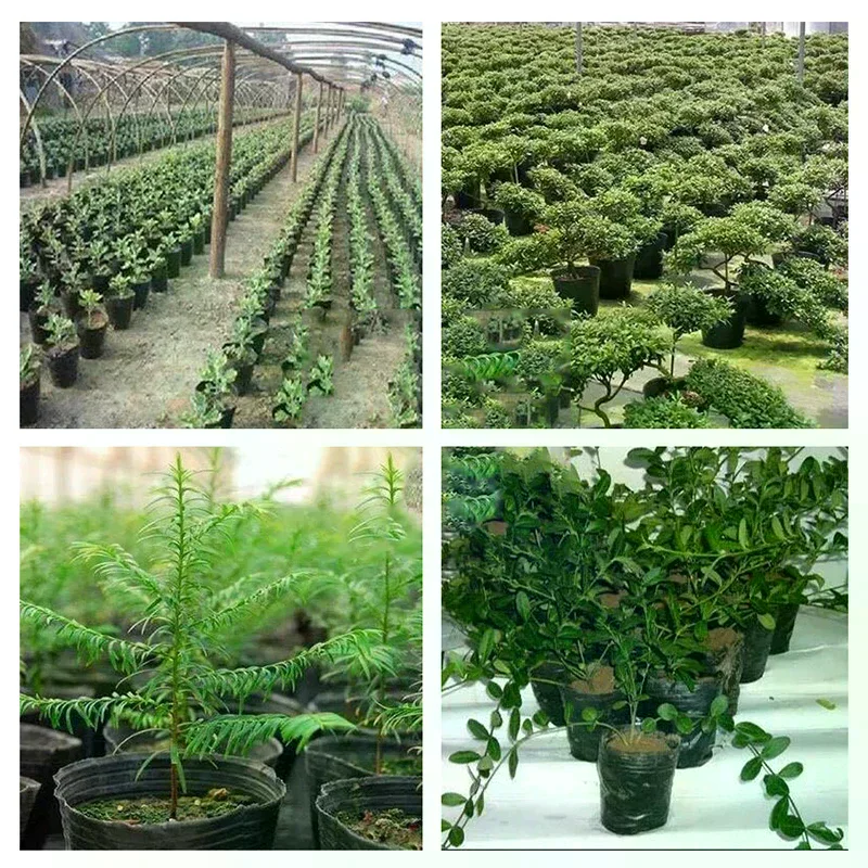 100Pcs Thickened Seedling Nursery Pots Plant Starter Cups For Household Garden Vegetable Flower Herb Planting Cultivation Bags