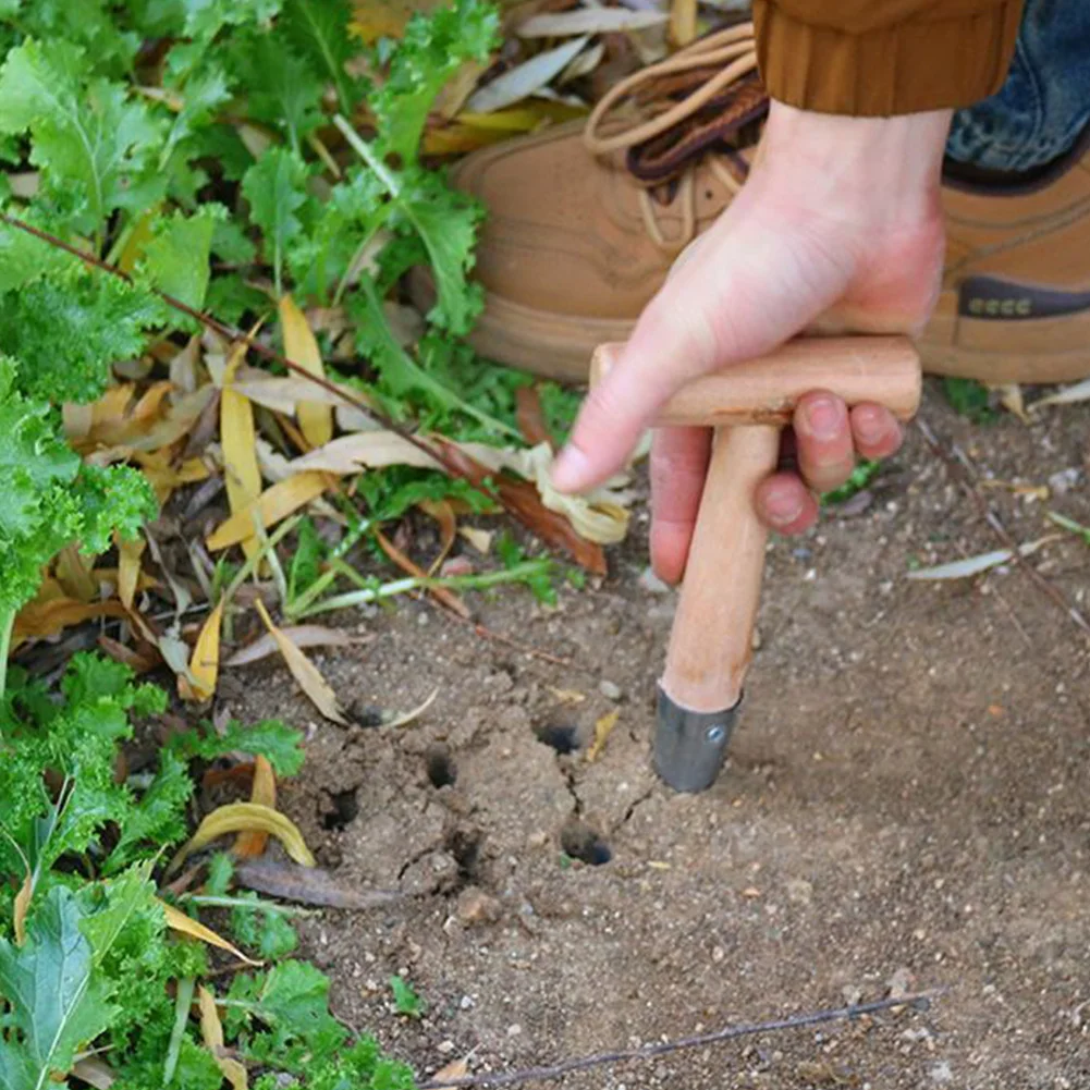 Hand Dibber Stainless Steel Sow Dibbler With Wood Handle Seed Planter Tool for Sowing Transplanting Planting Bulb Digging