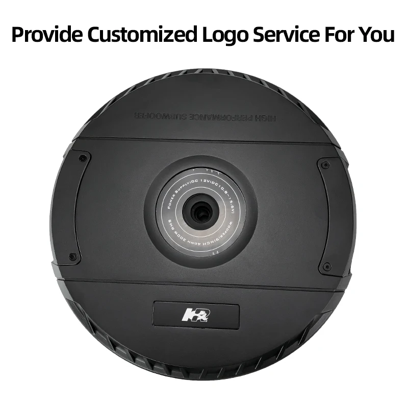 Wholesale 11-Inch Active High-Power Car Audio Subwoofer with Spare Tire DC 12V Interior Accessories for Car Audio Retrofit