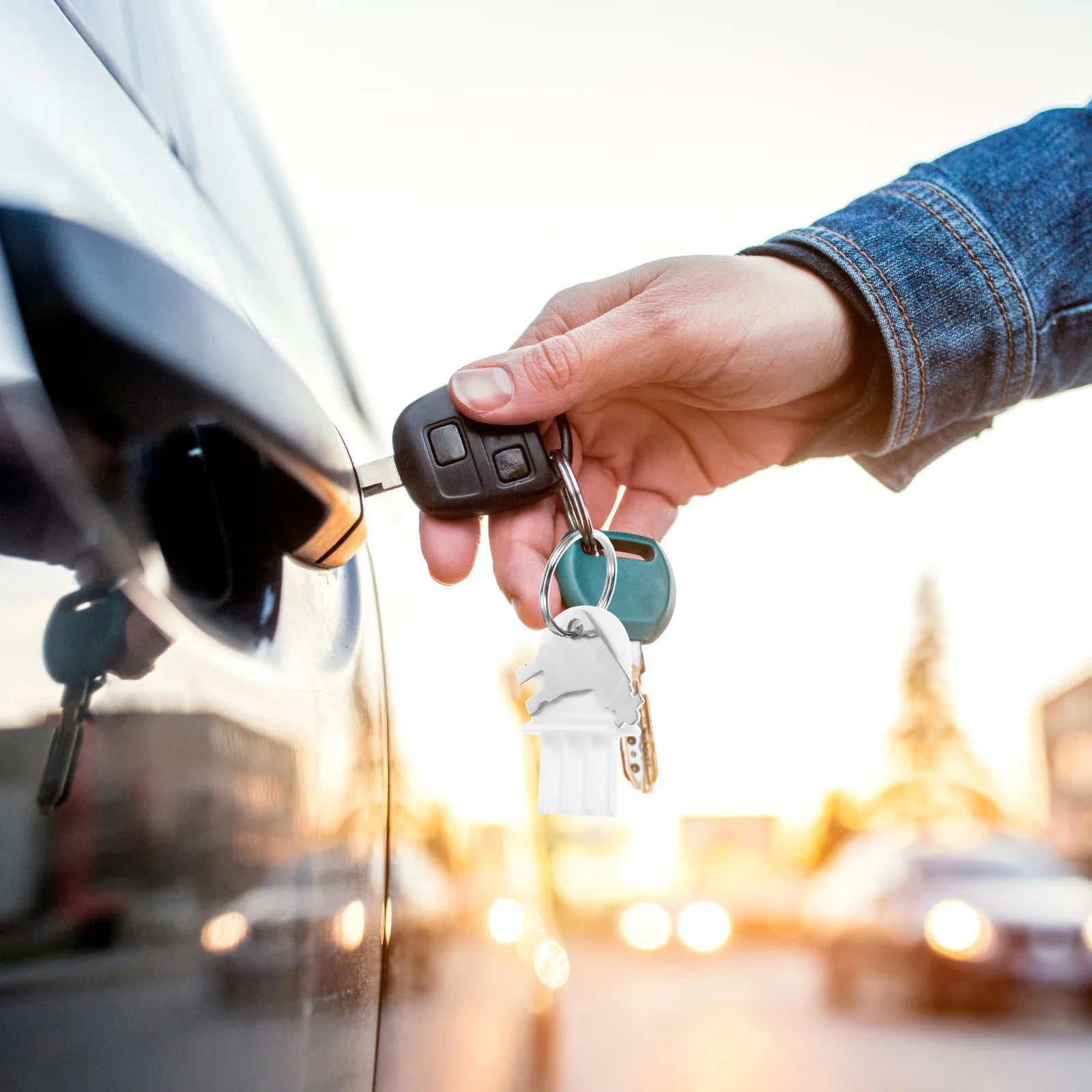 

10Pcs Toilet Paper Dispenser Key Set Durable ABS Metal Universal Fit Commercial Paper Towel Easy Use Key for Soap Dispenser