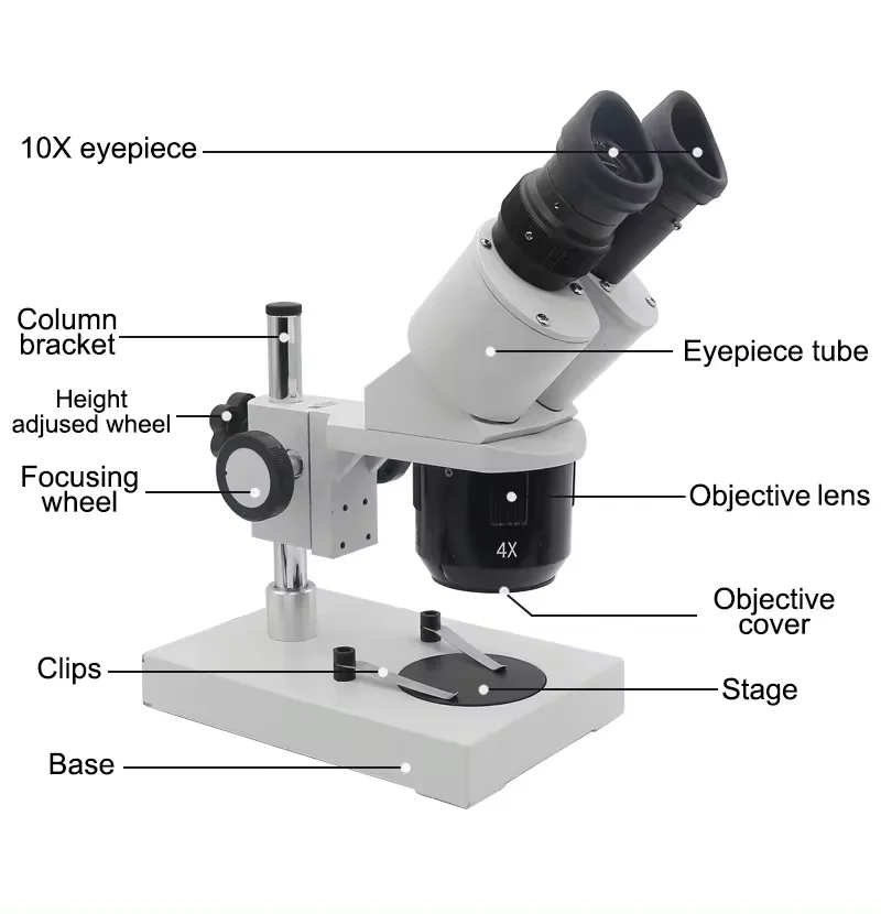 20X 40X Industrial Stereo Binocular Stereo Microscope with WF10X Eyepiece Fluorescent Ring Light Smartphone Clock Repairing