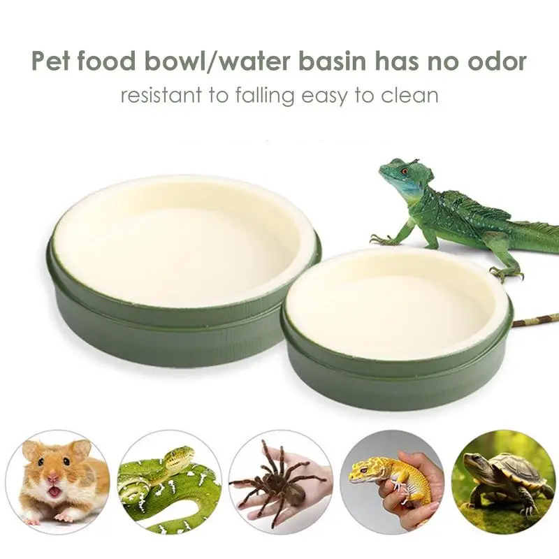 Reptile Water Bowl Food Feeder Dish Plate for Drinking Reusable Reptile Feeding Dish Water Bowls for Gecko Tortoise Frog Hermit