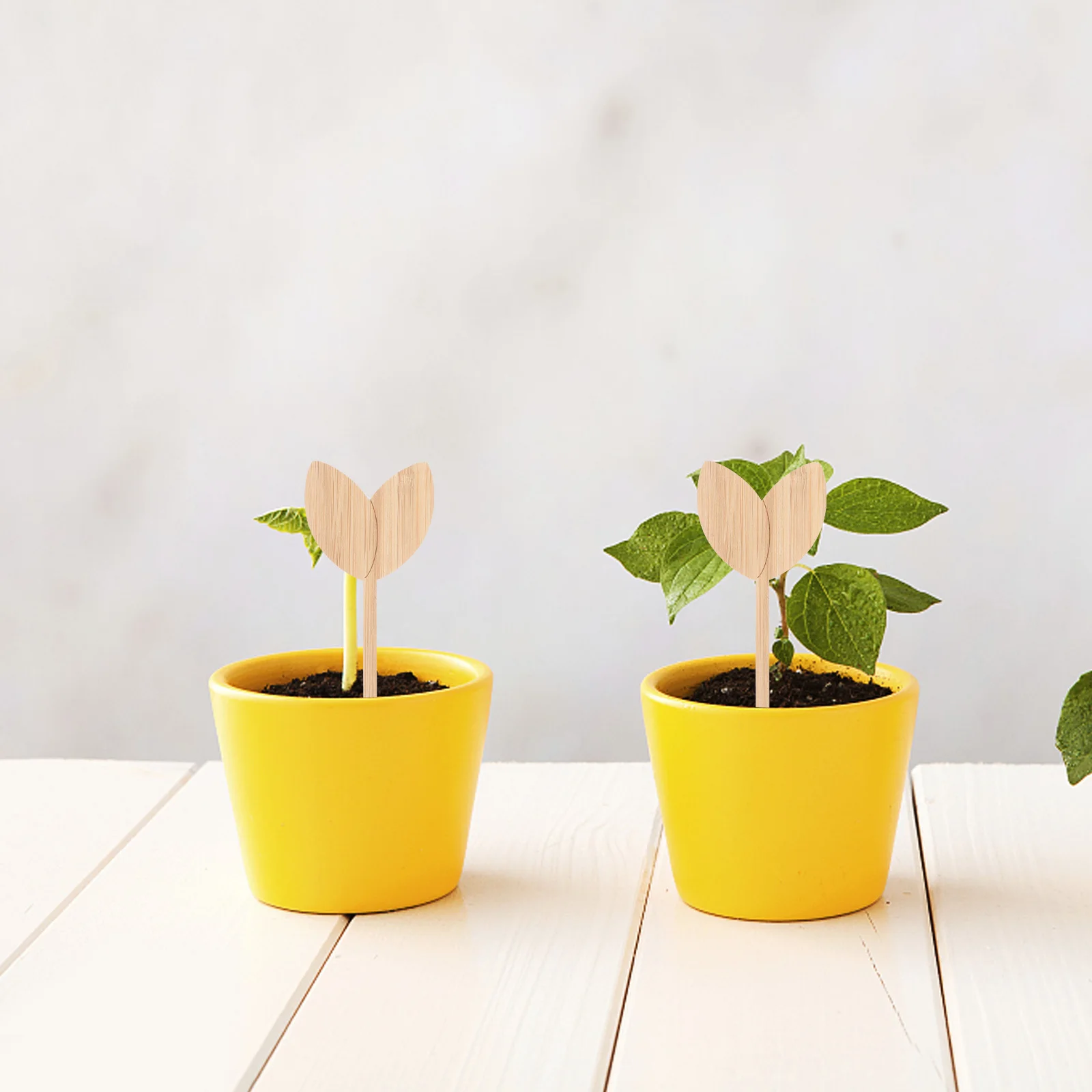 

20pcs Leaf-Shaped Garden Marker Wooden Plant Labels For Flower Bed Insert Tags Succulent Plant Labels Gardening Supplies Outdoor