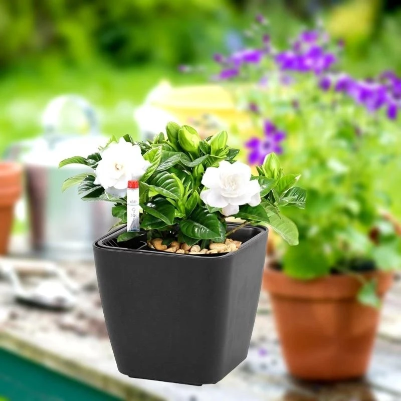 g6kf-plantador-auto-rega-com-indicadores-nivel-agua-potes-flores-decorativas-para-o-quarto-da-cozinha-acessorios