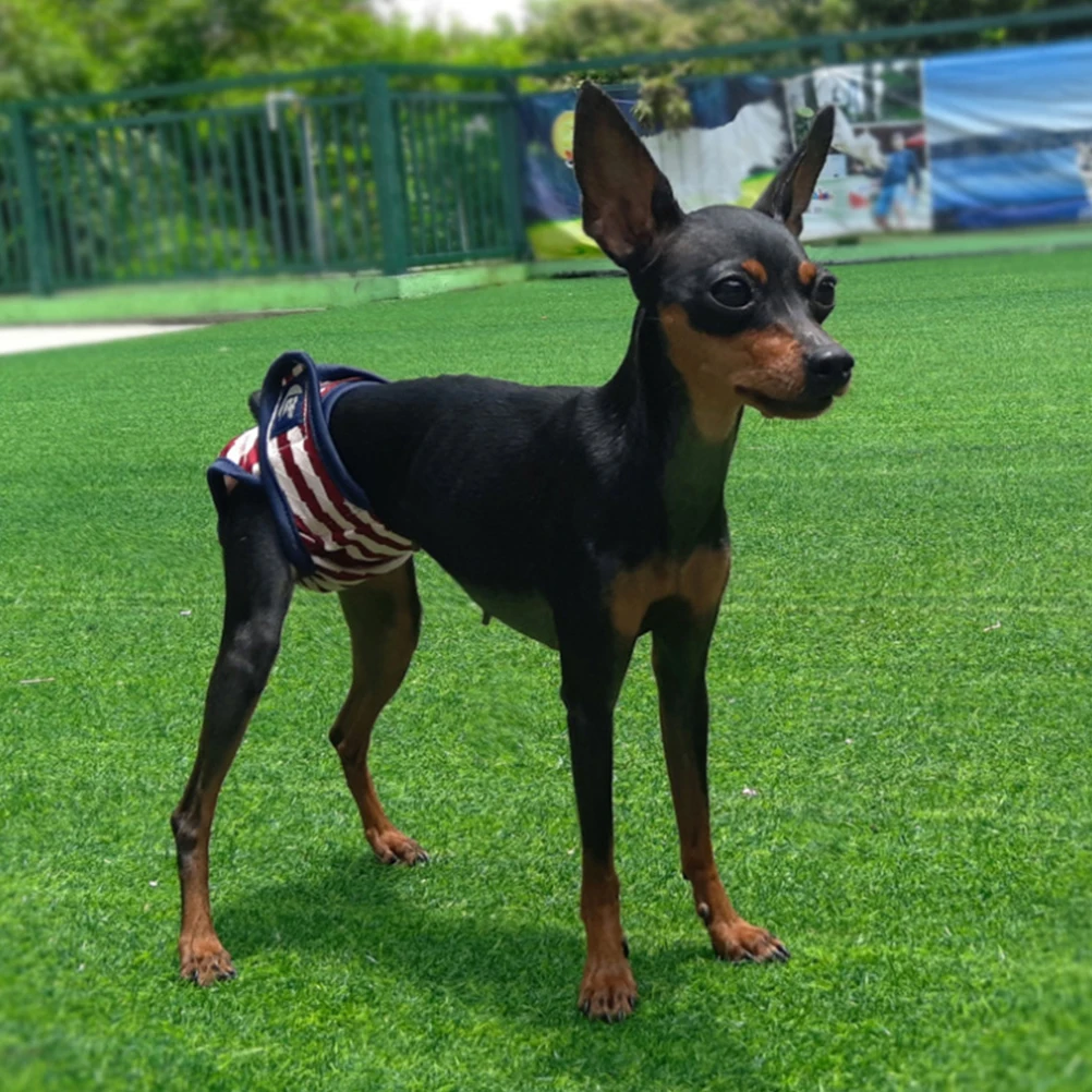 

2pcs Pet Dog Diaper Pantie Adjustable Washable For Female Dogs In Heat Puppy Sanitary Pants Reusable Physiological Nappies Dog